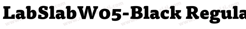 LabSlabW05-Black Regular字体转换